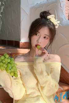 灵狼传奇