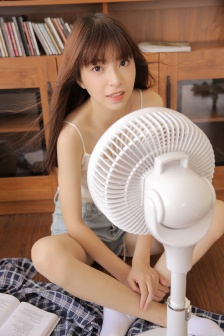 完美的邻居
